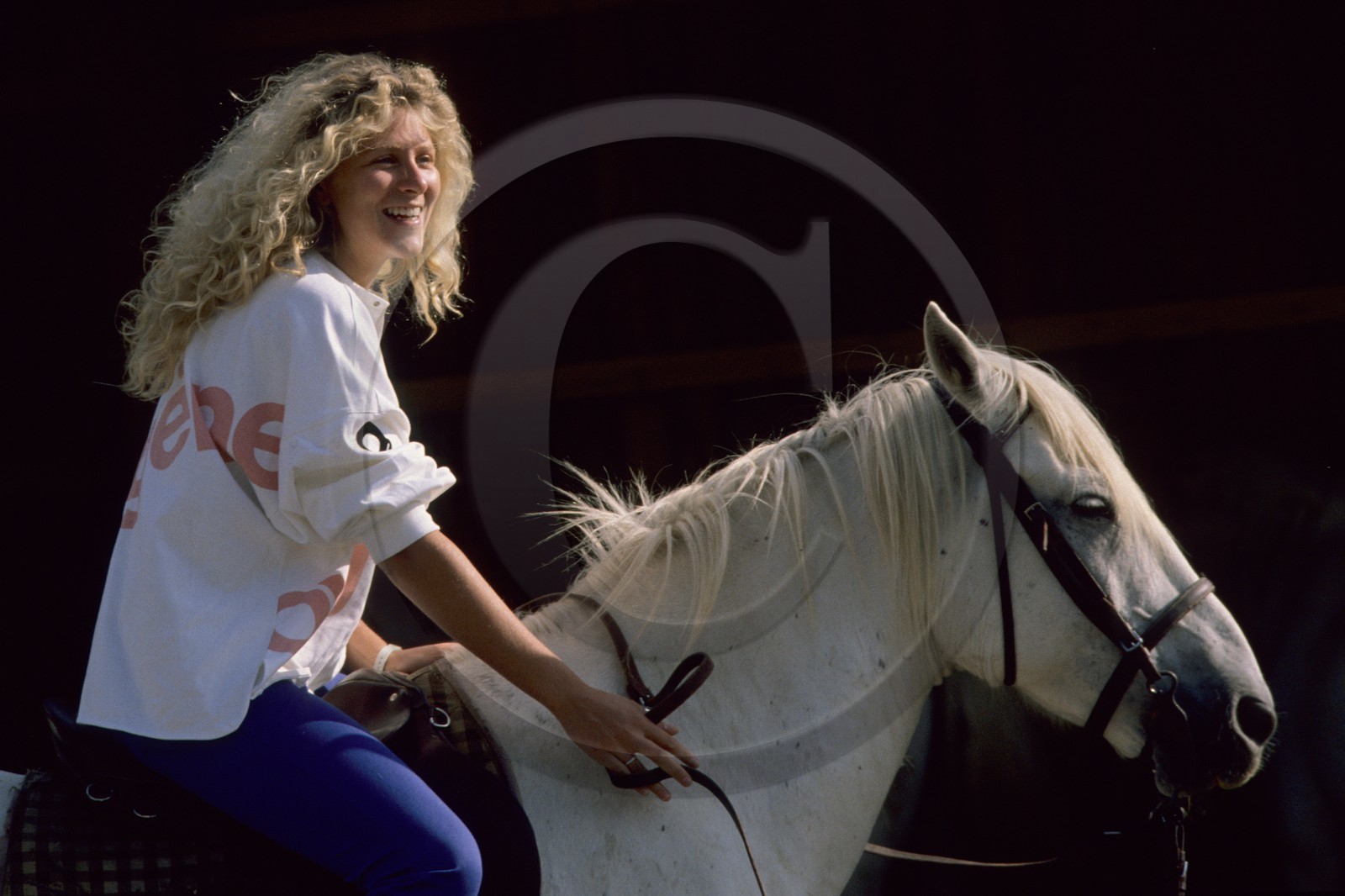 Equitation