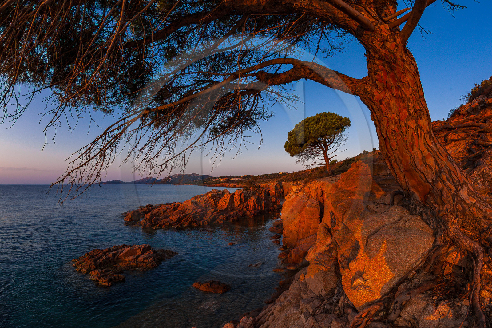 Cap d'Acciaju