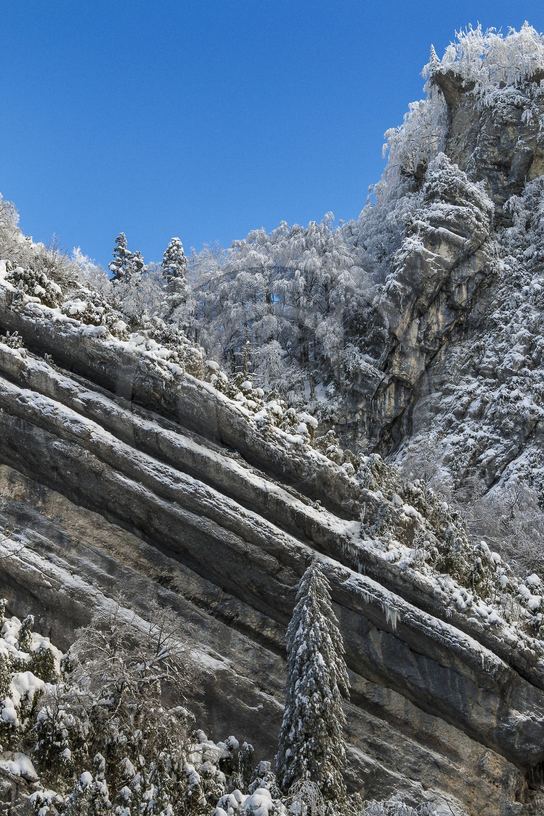 ENS de l'Isère, Les Ecouges ENS de l'Isère, Les Ecouges