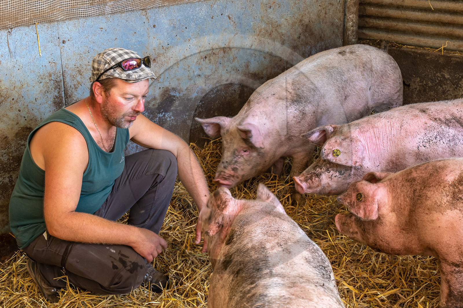Ferme des Bichoux