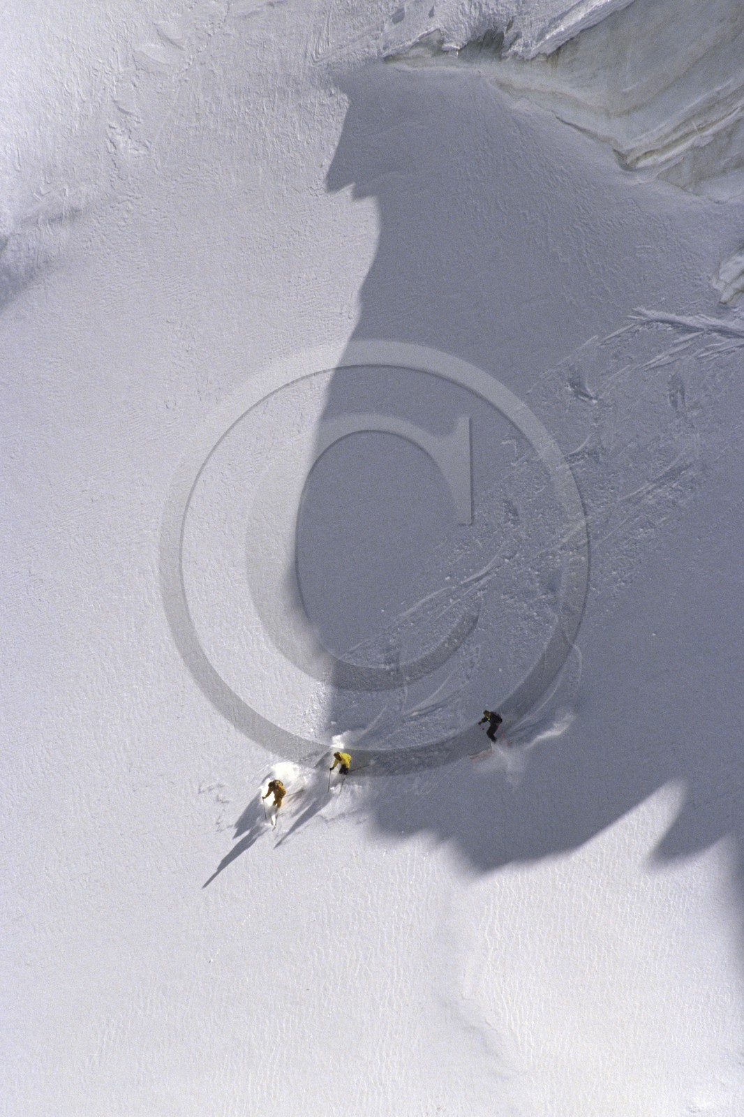Ski poudreuse
