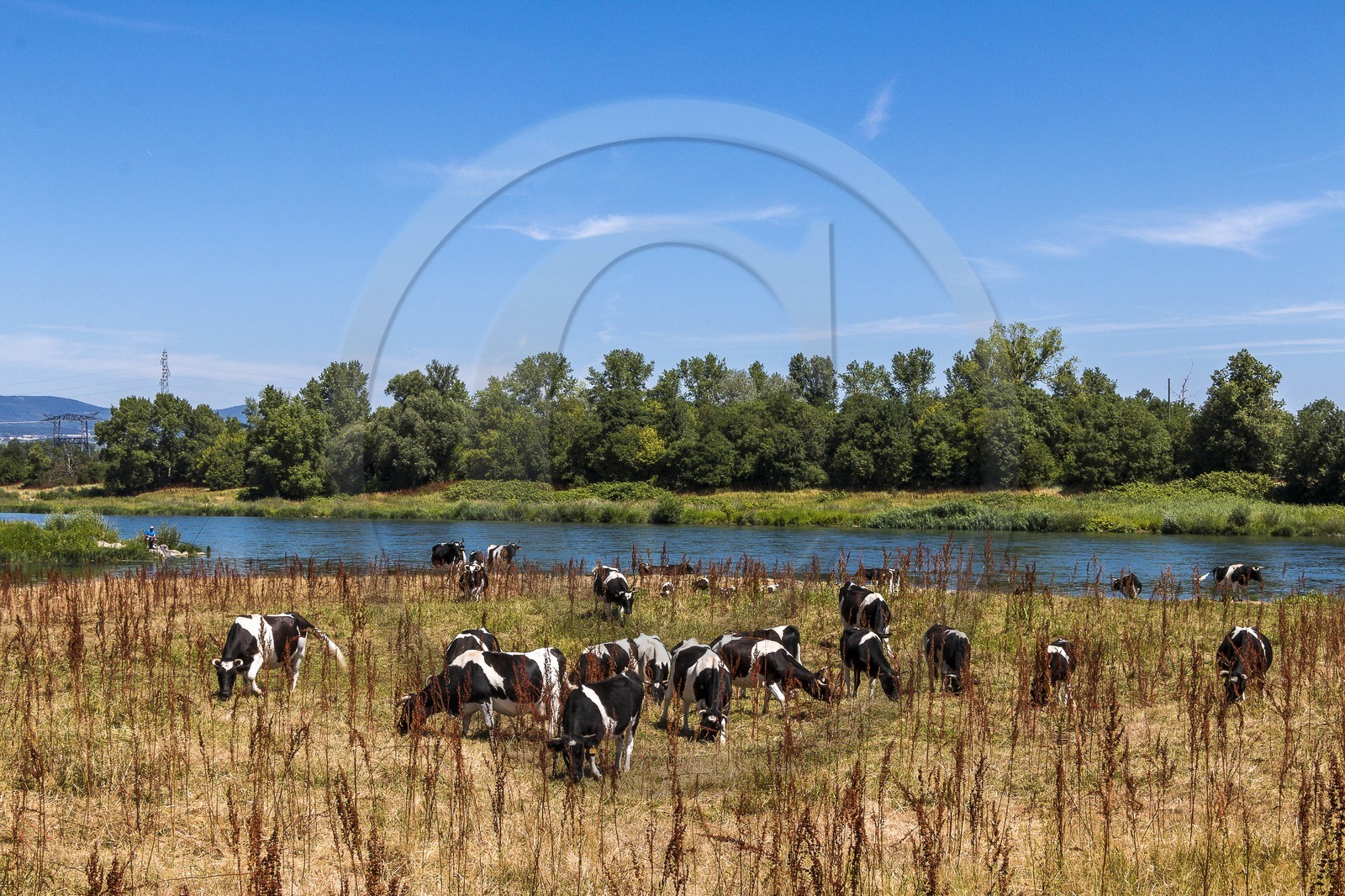 ENS de l'Isère, , le méandre des Oves ENS de l'Isère, , le méandre des Oves