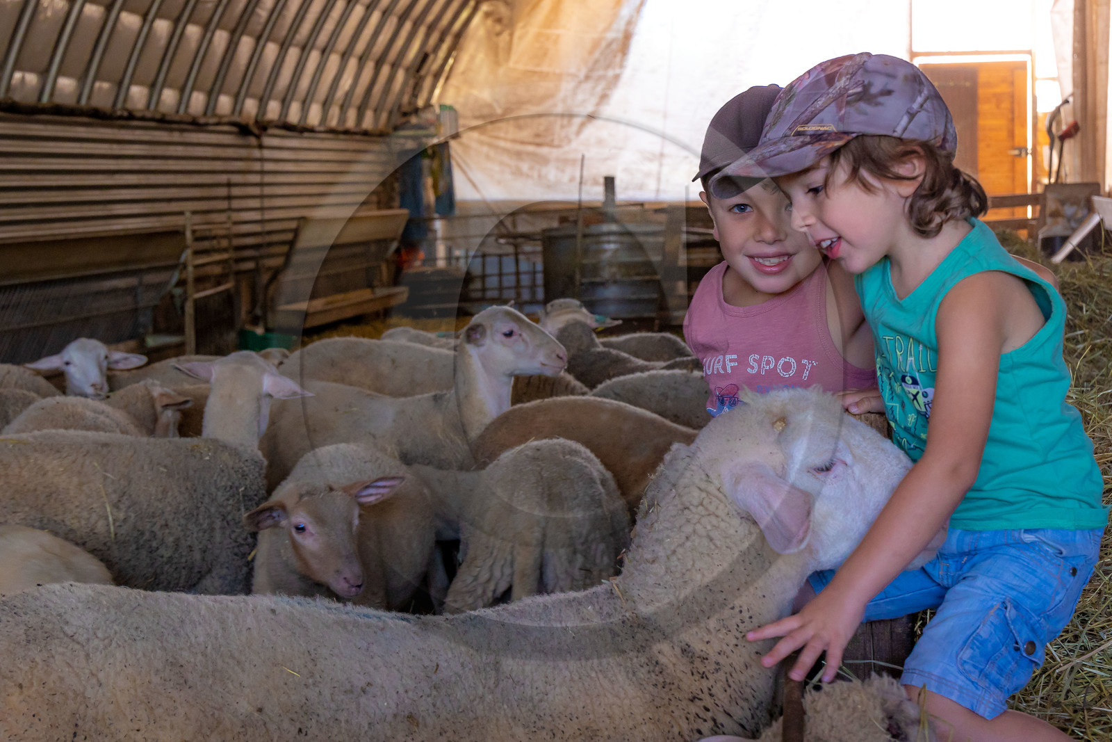 Ferme des Bichoux