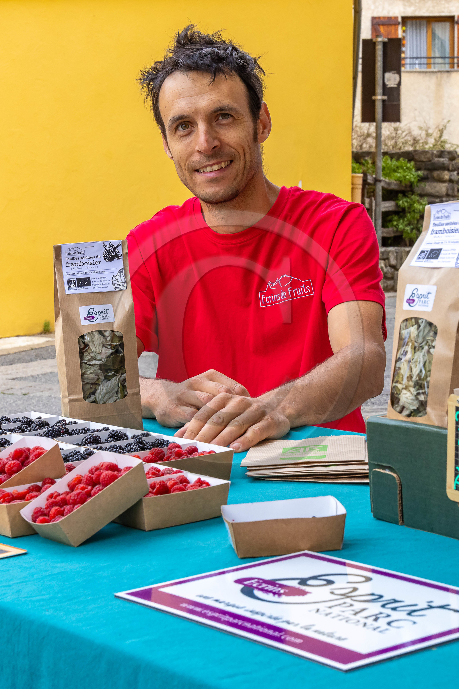 Ecrins de fruits, producteur de fruits rouges