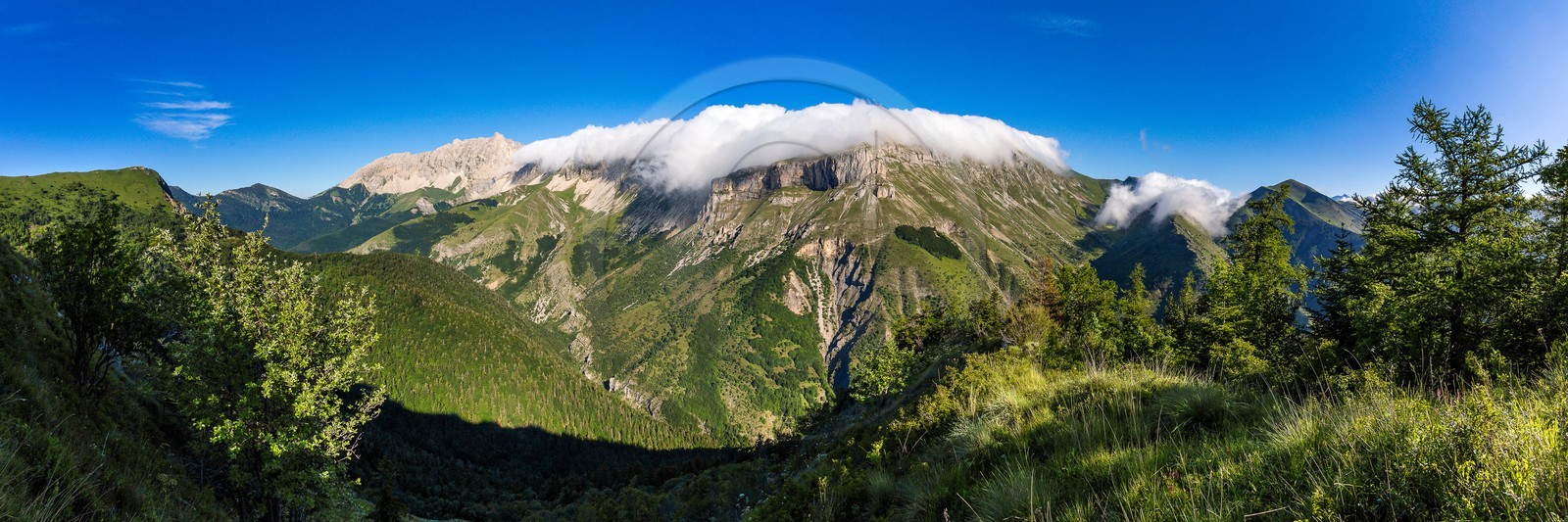 Bois du Chapitre, forêt domaniale de Gap-Chaudun