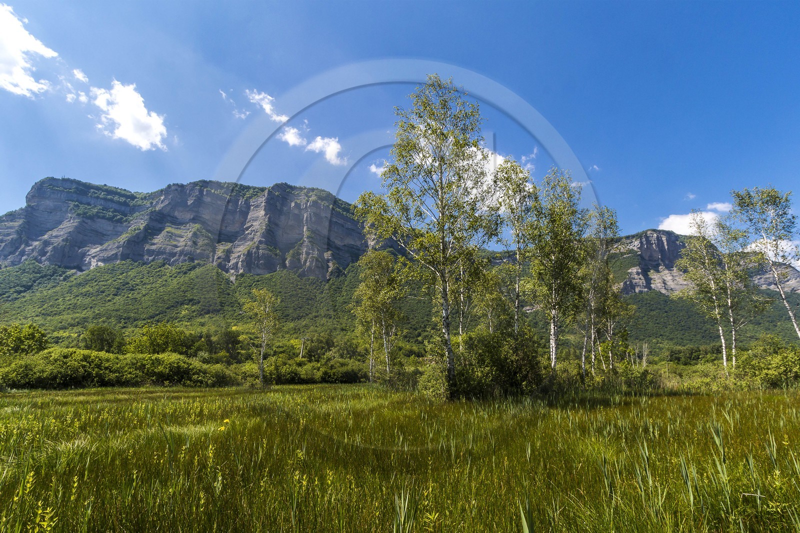 ENS de l'Isère, Marais de Montfort