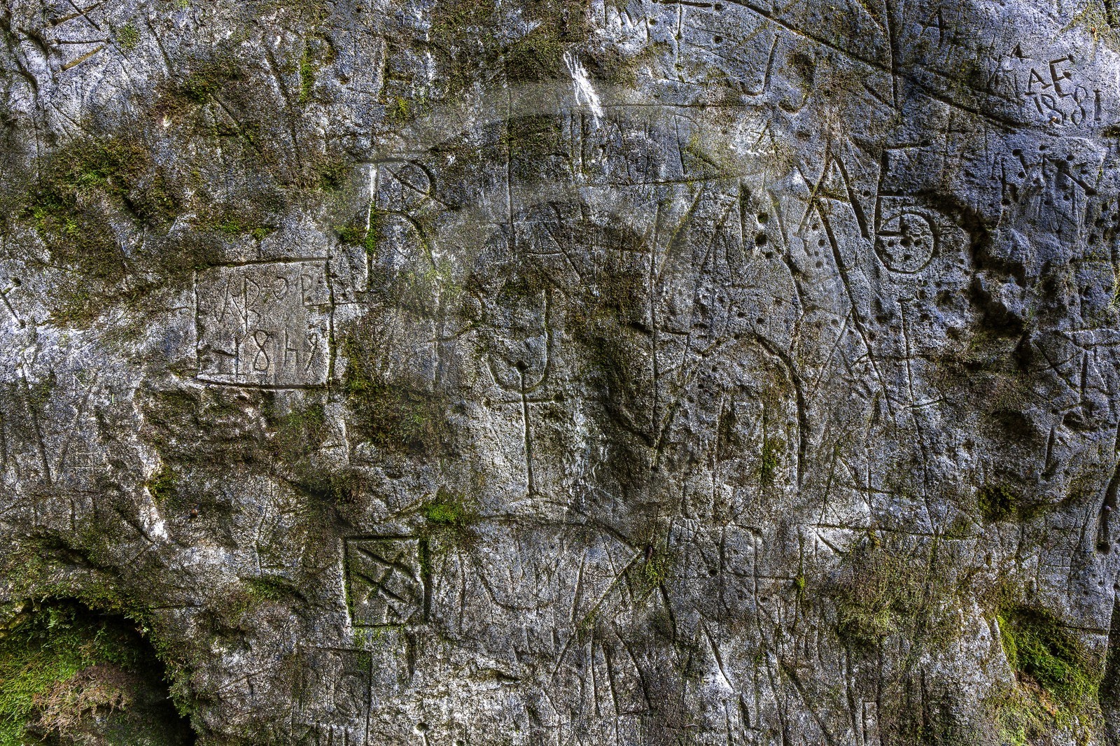ENS de l'Isère, Plateau de la Molière et du Sornin, Le Puits aux Ecritures, gravures rupestres