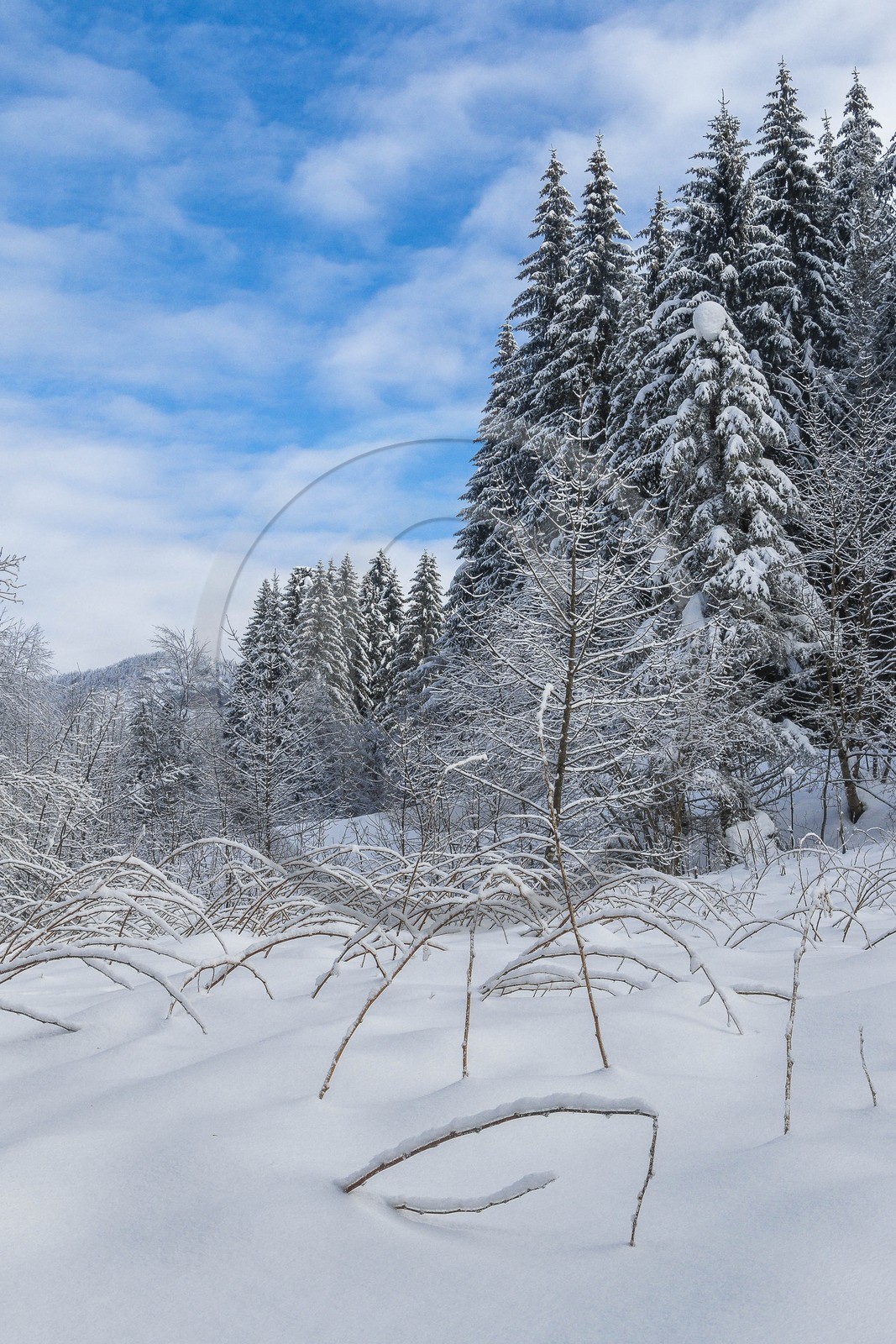 ENS de l'Isère, Les Ecouges ENS de l'Isère, Les Ecouges