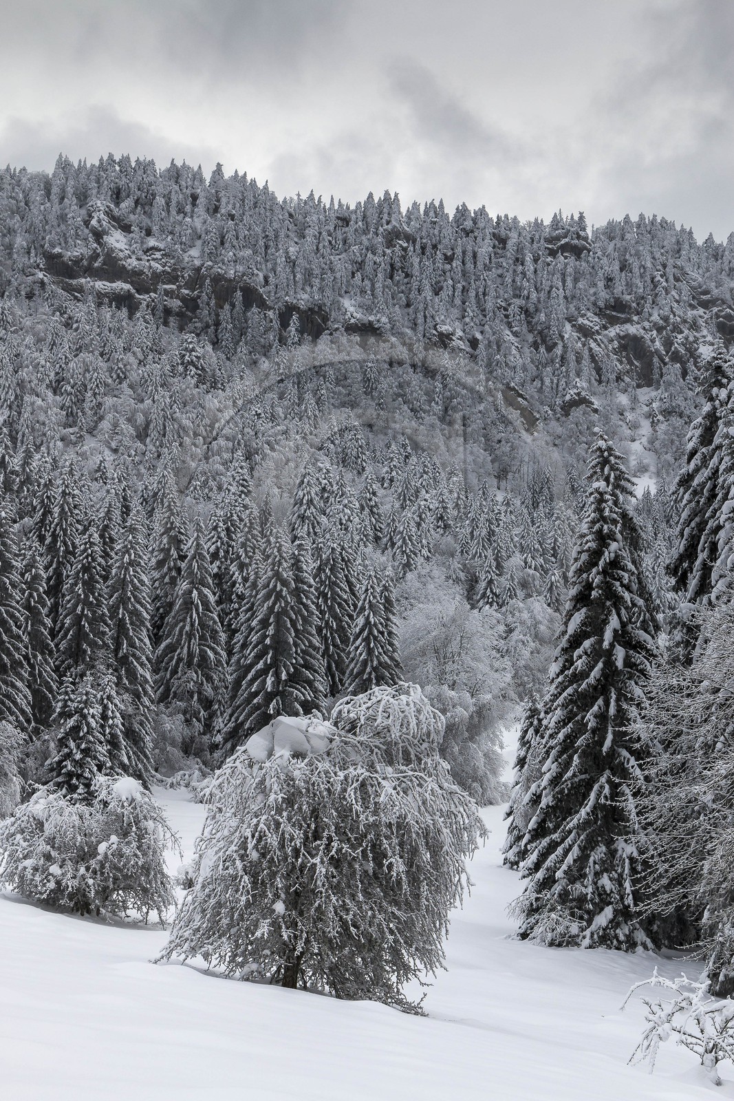 ENS de l'Isère, Les Ecouges ENS de l'Isère, Les Ecouges
