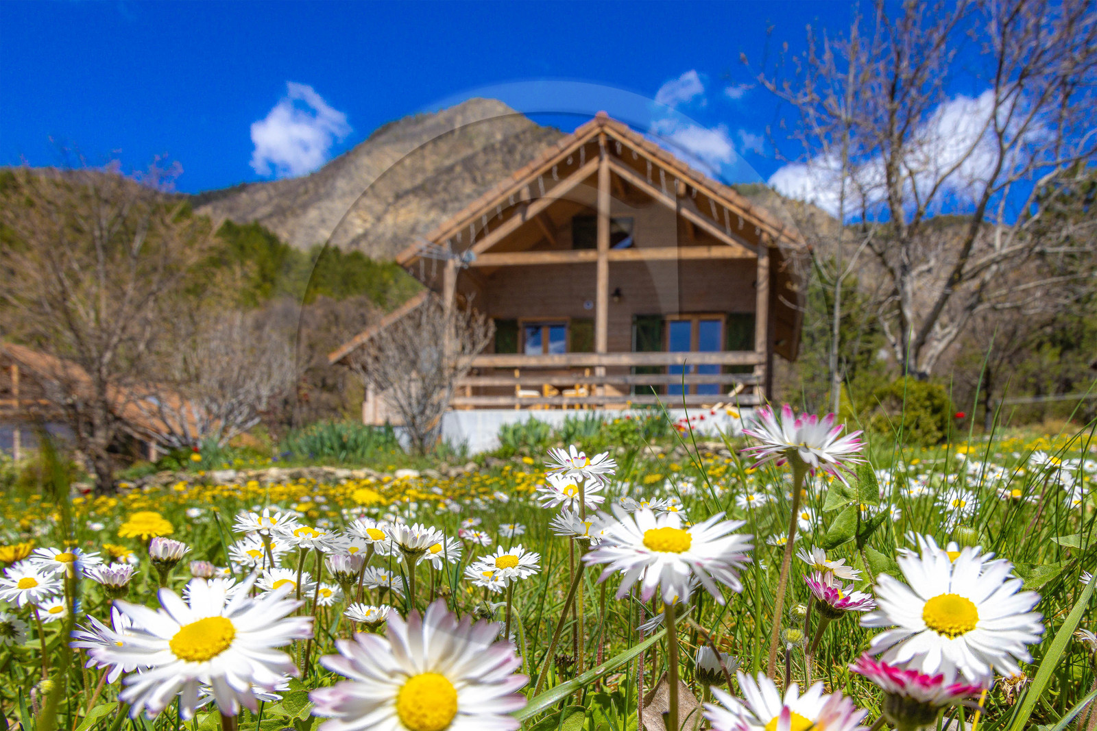 Chalet Carpe Diem, Gîte de France 3 ***