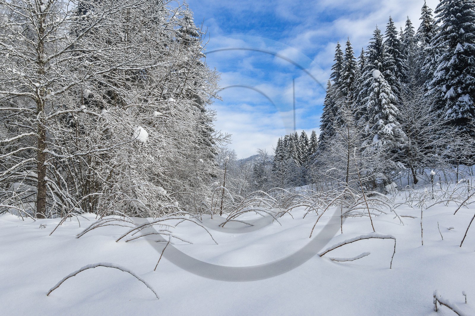 ENS de l'Isère, Les Ecouges ENS de l'Isère, Les Ecouges