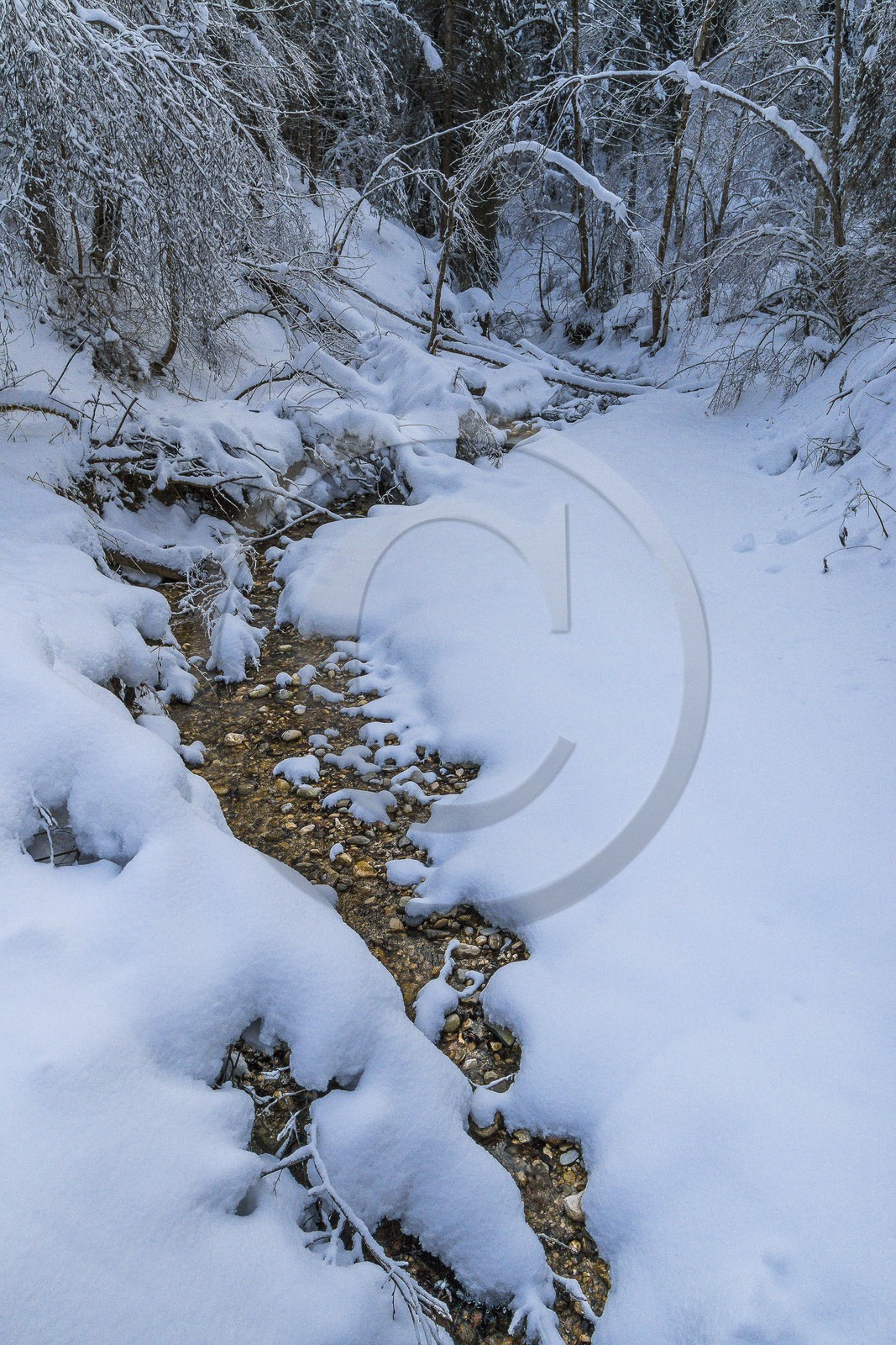 ENS de l'Isère, Les Ecouges ENS de l'Isère, Les Ecouges