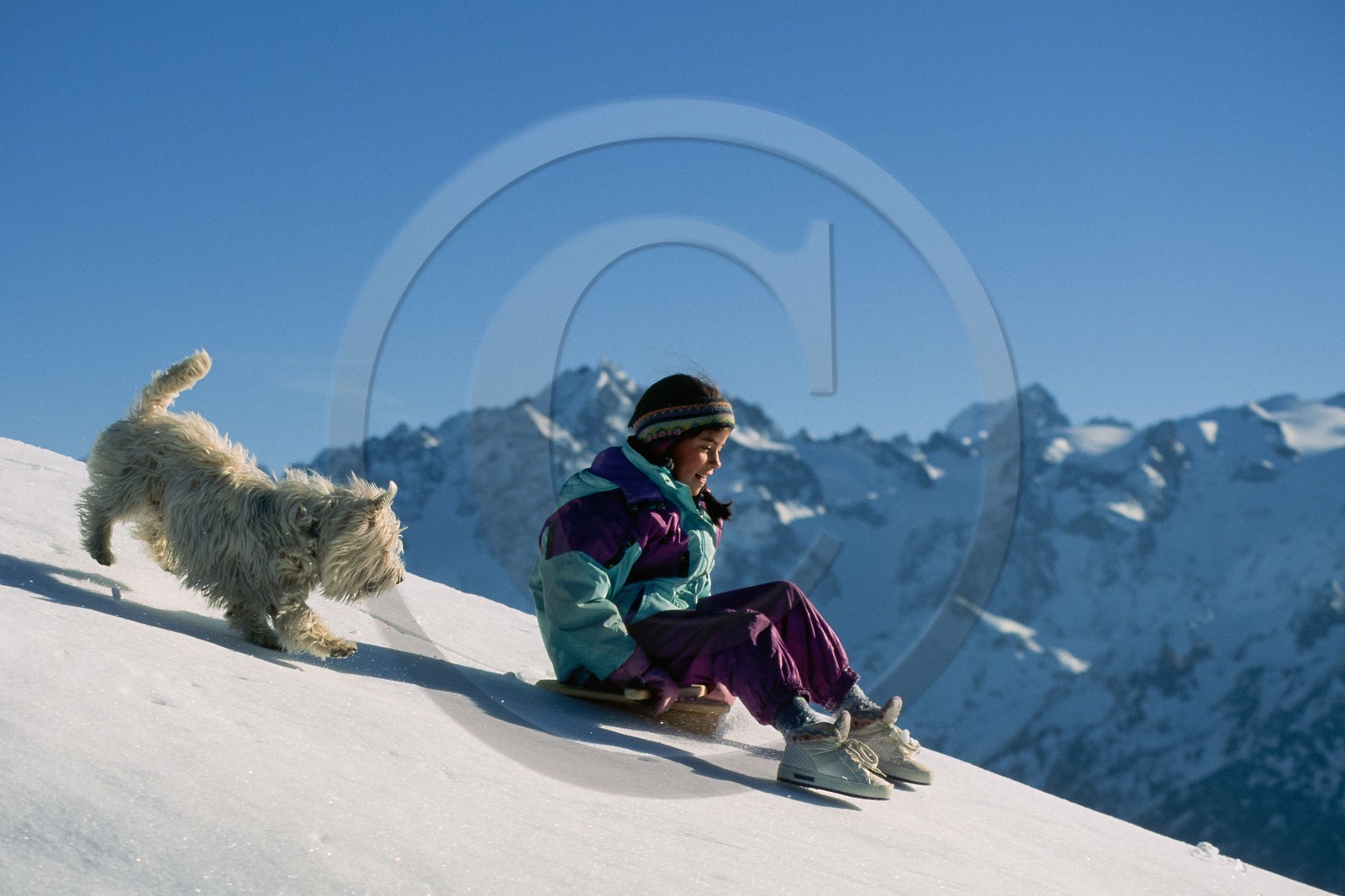 Luge d'hiver