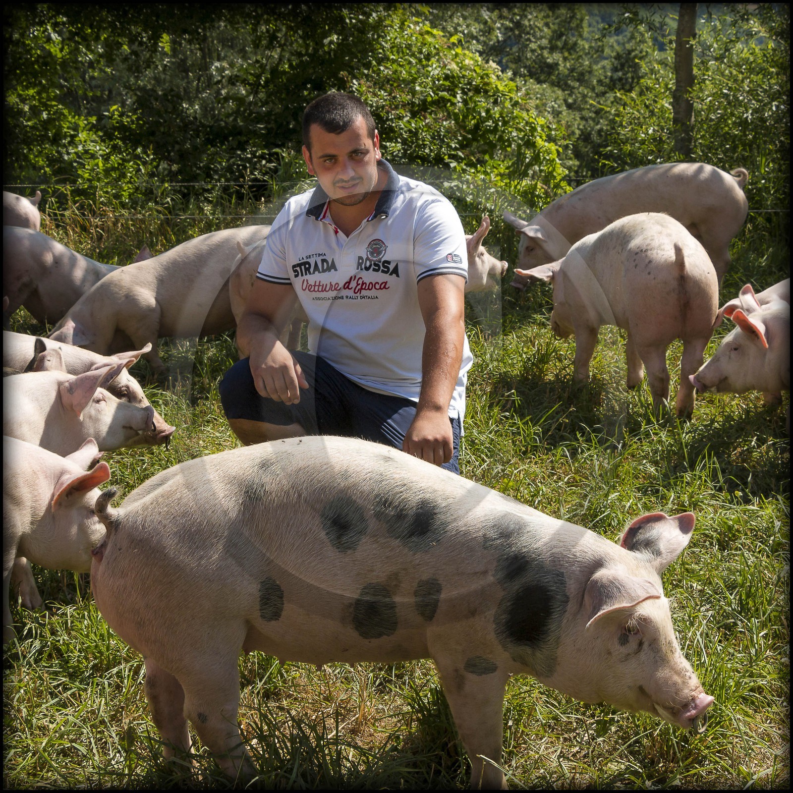 Vallée du Champsaur, Ferme des Coupaïrou, Guillaume Barban