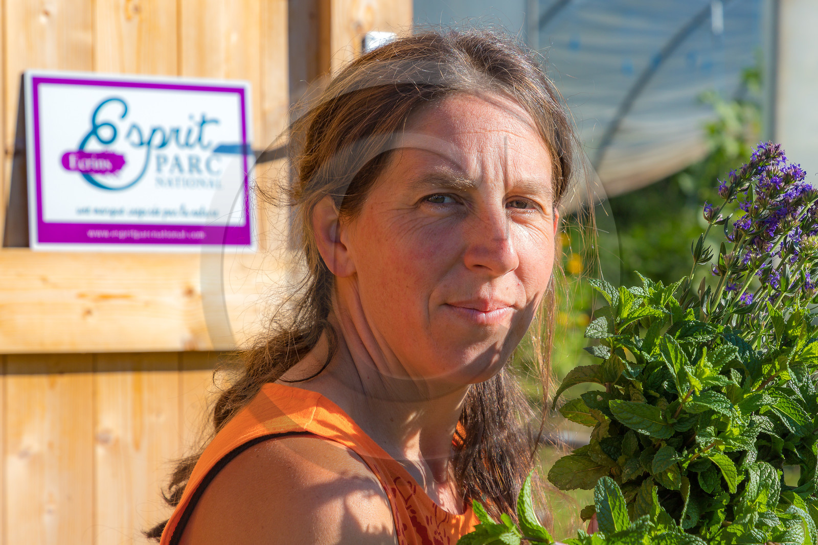 LéguMontagne Sylvie Jaussaud , Maraîchères bio