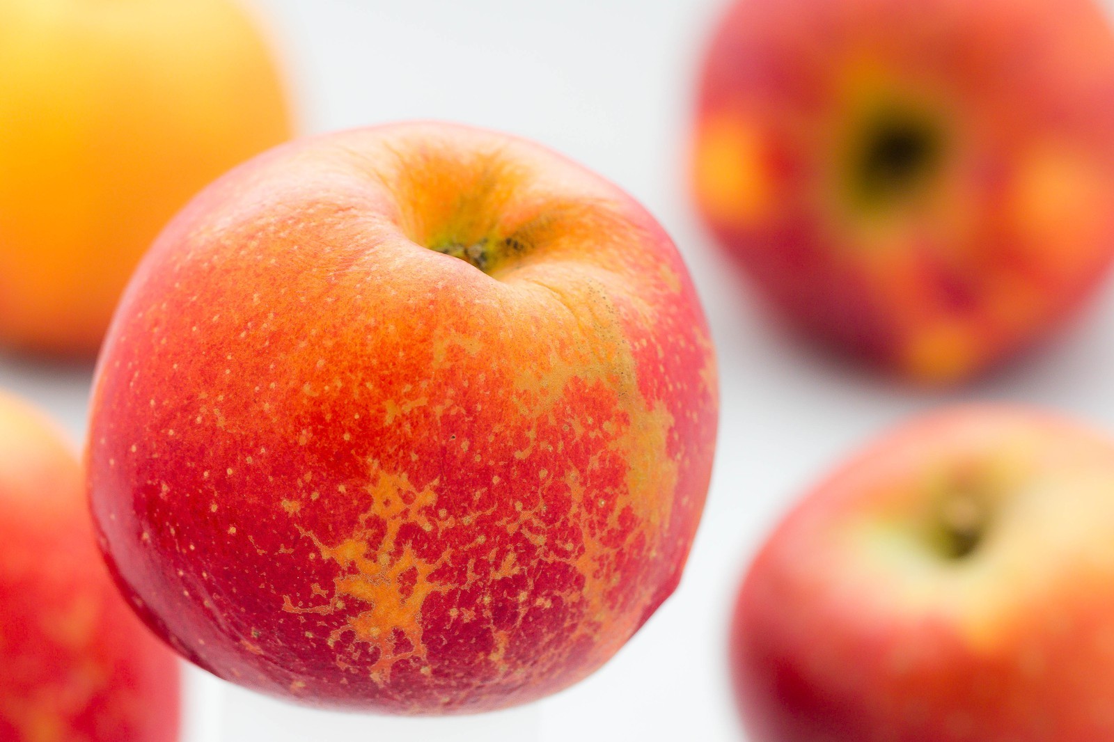 Noëlle et Franck Jacob, producteurs de fruits