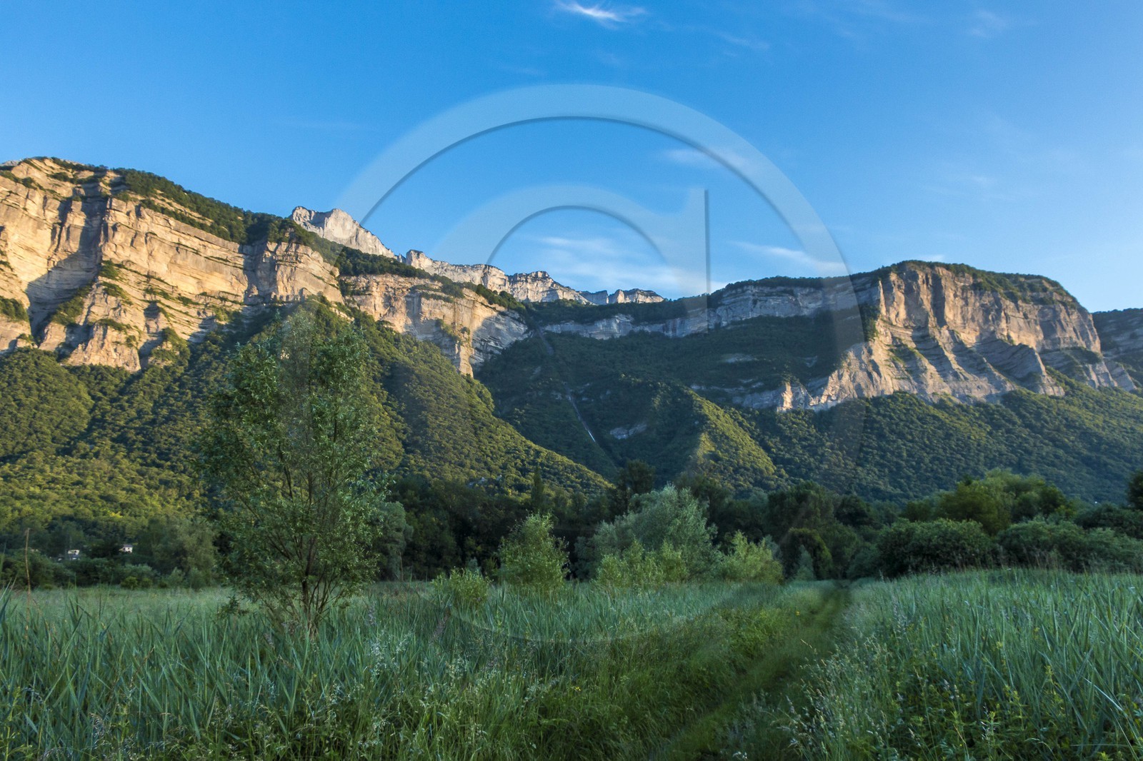 ENS de l'Isère, Marais de Montfort