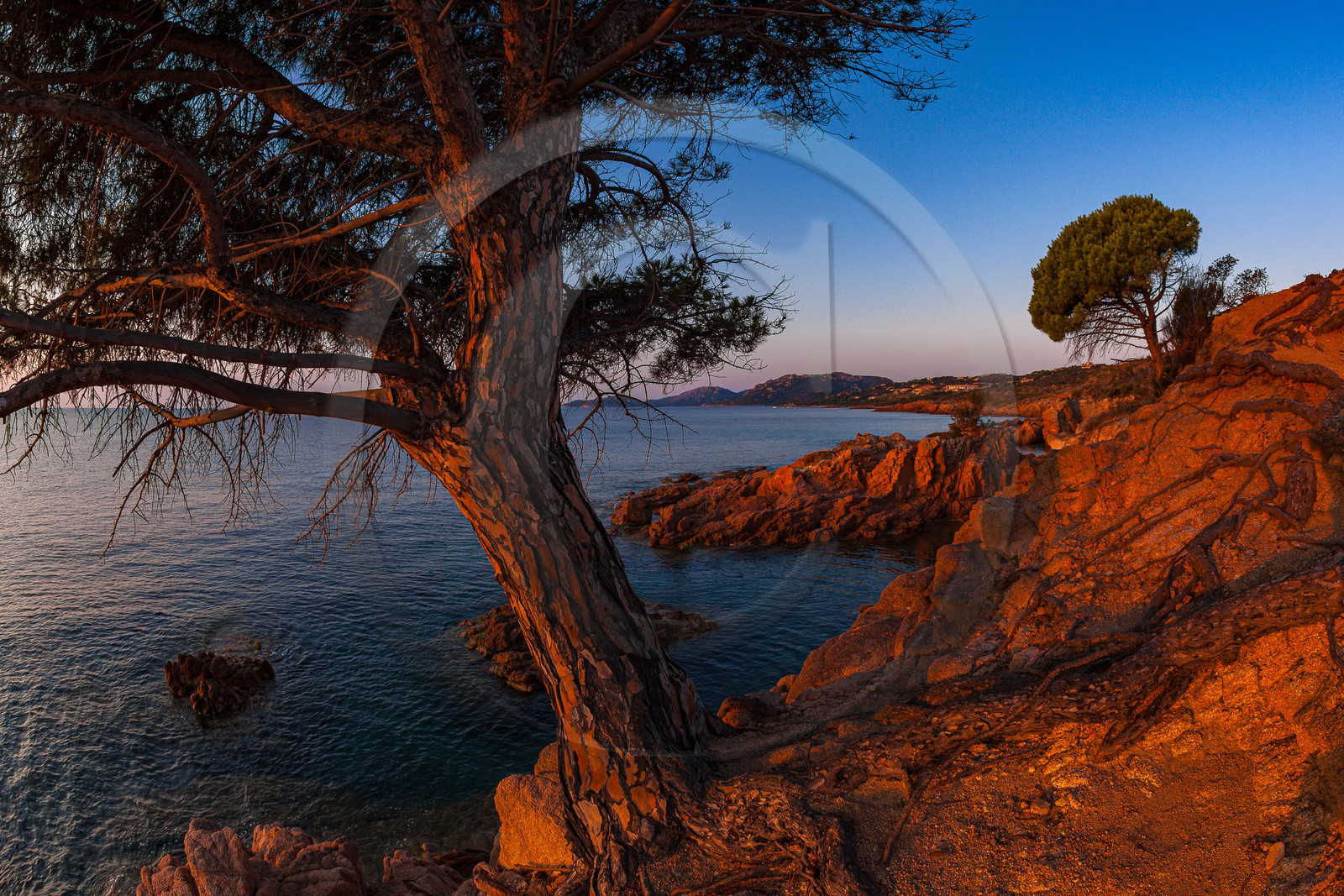 Cap d'Acciaju