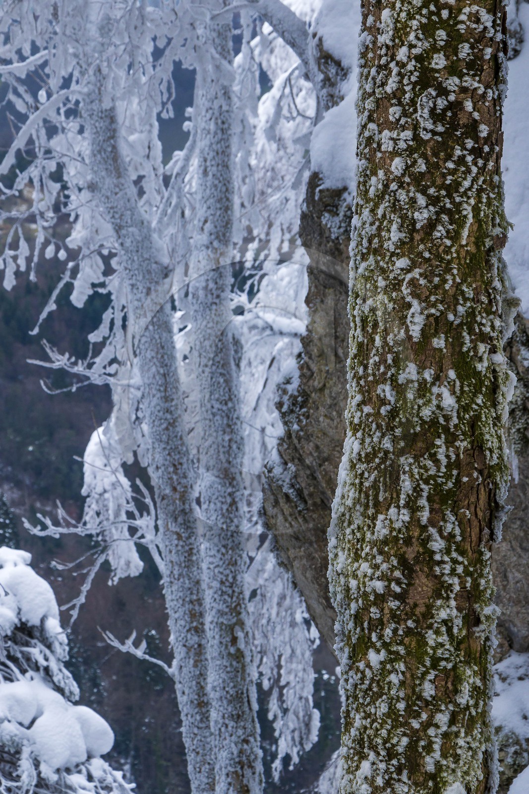 ENS de l'Isère, Les Ecouges ENS de l'Isère, Les Ecouges