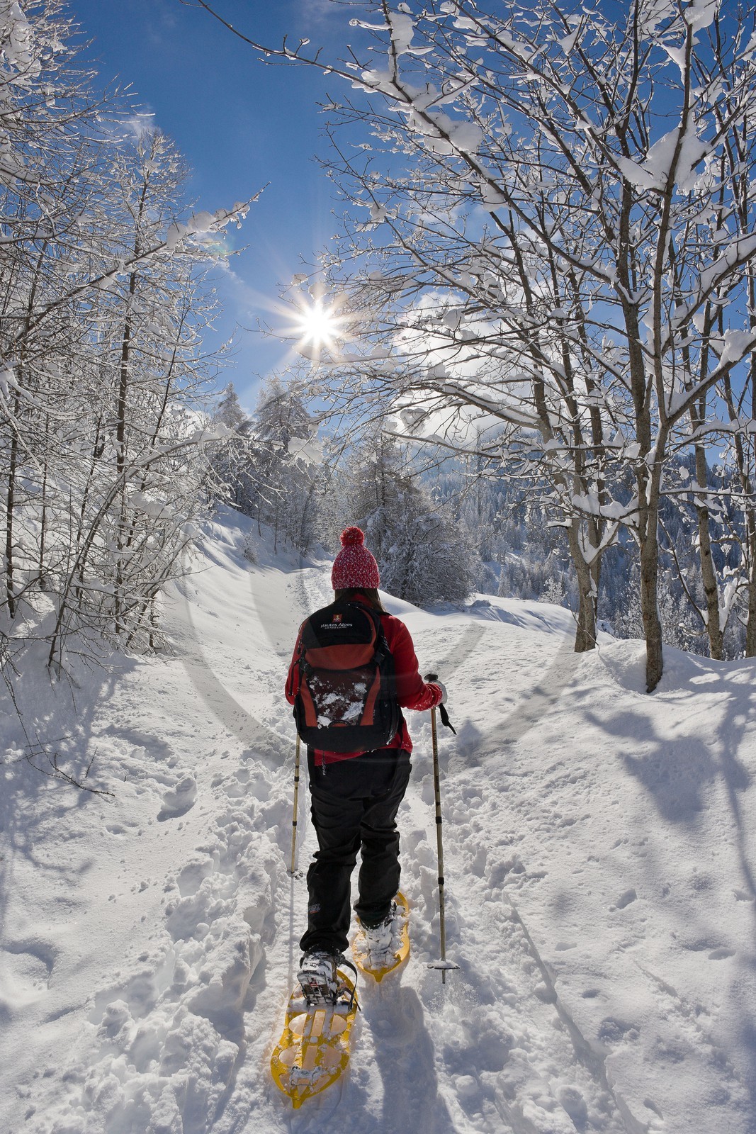 Randonnée raquettes