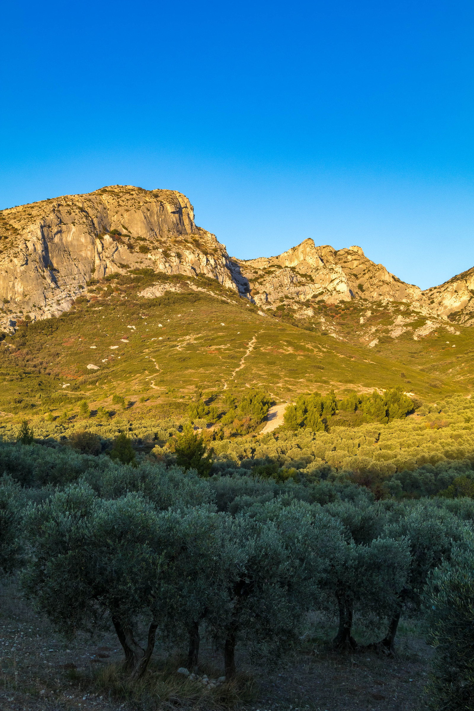 Les Baux de Provence, Domaine La Fabresse