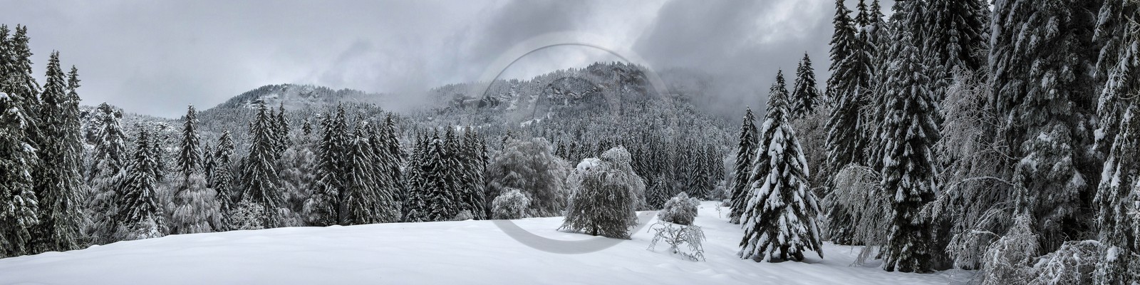 ENS de l'Isère, Les Ecouges ENS de l'Isère, Les Ecouges