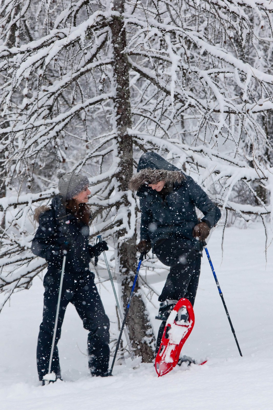Randonnée, balade en raquettes à neige