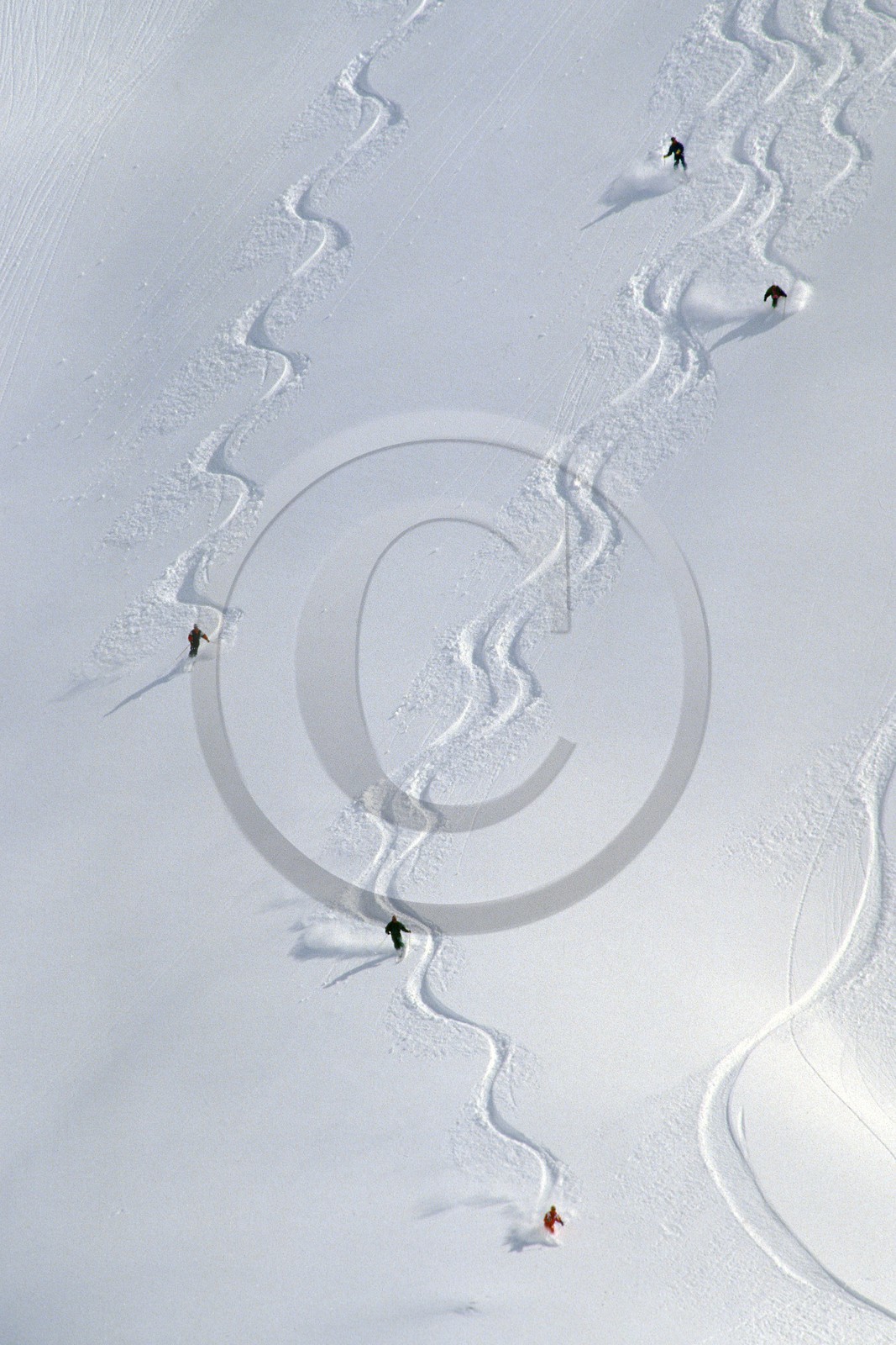 Ski poudreuse
