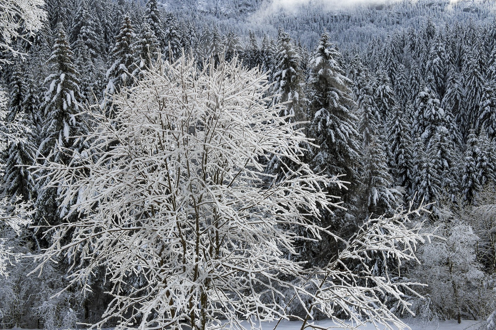 ENS de l'Isère, Les Ecouges ENS de l'Isère, Les Ecouges