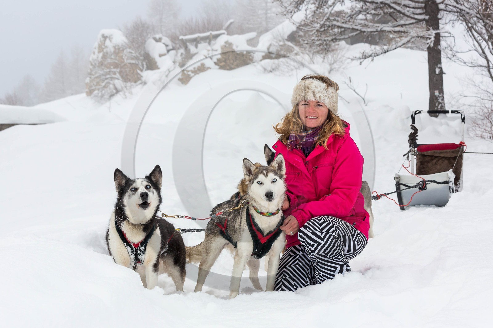 La Condamine-Châtelard, Sainte-Anne la Condamine, Coralie Bonnerot et ses chiens de traineau
