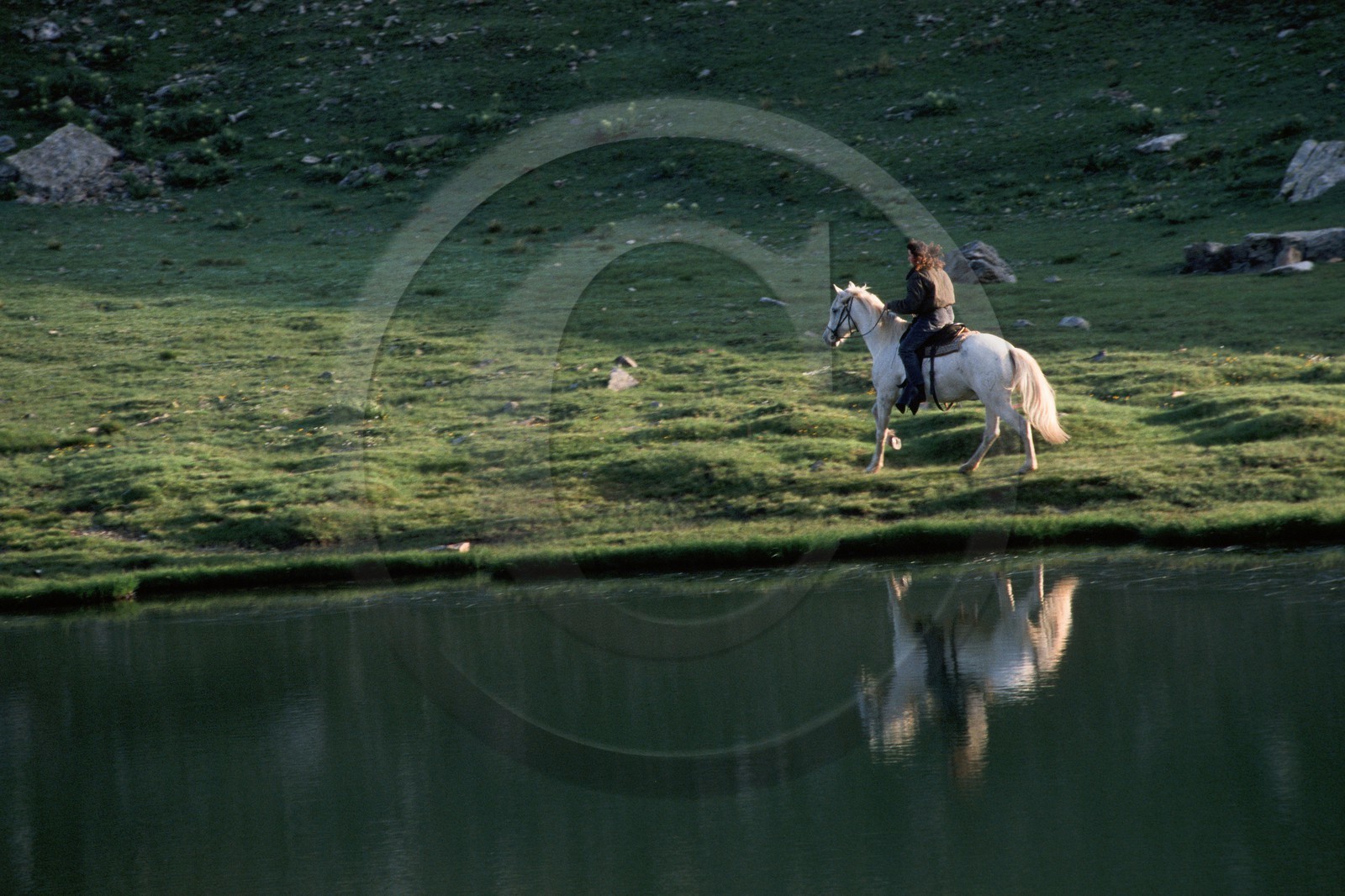Equitation