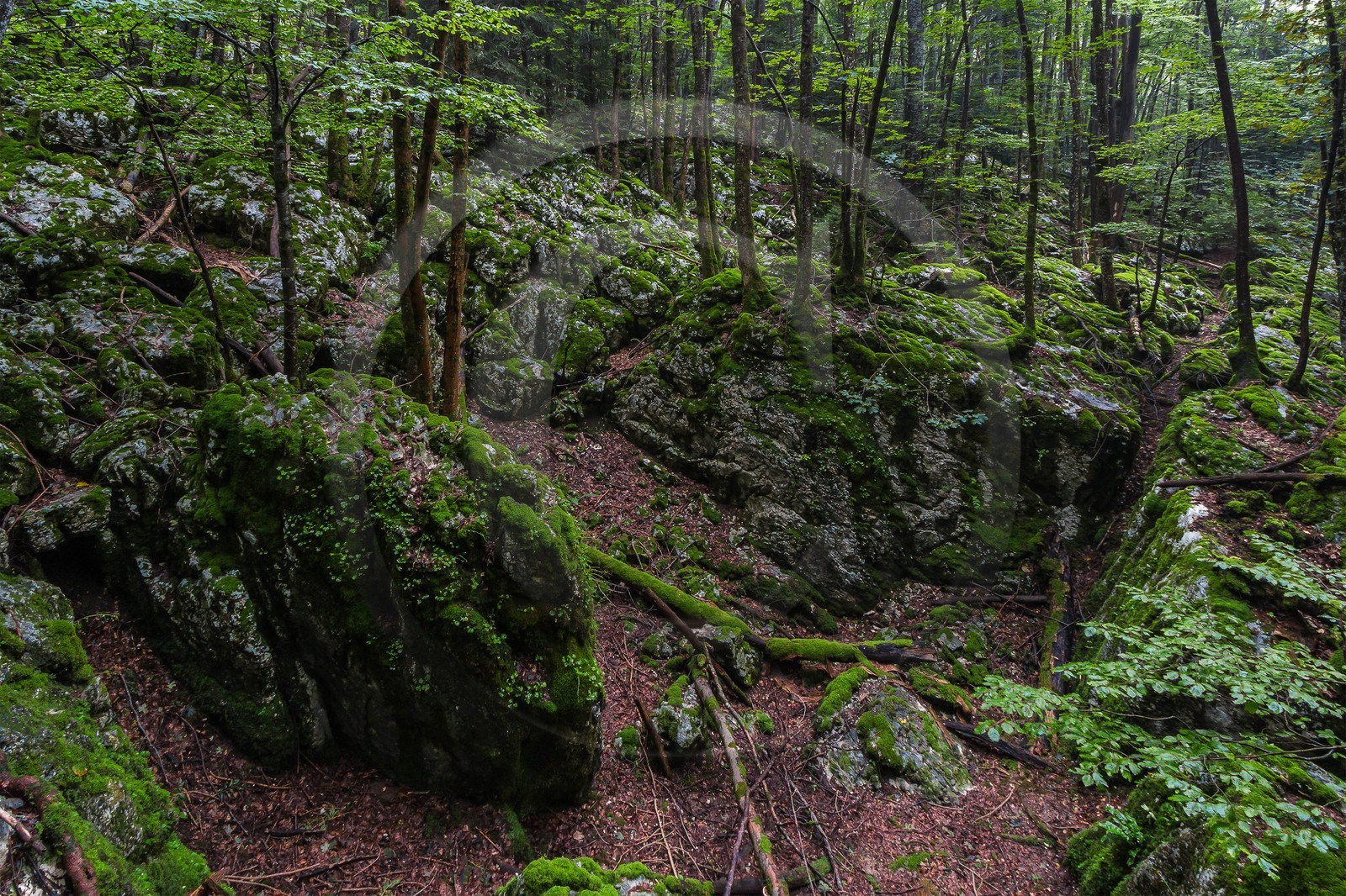 ENS de l'Isère, Les Ecouges