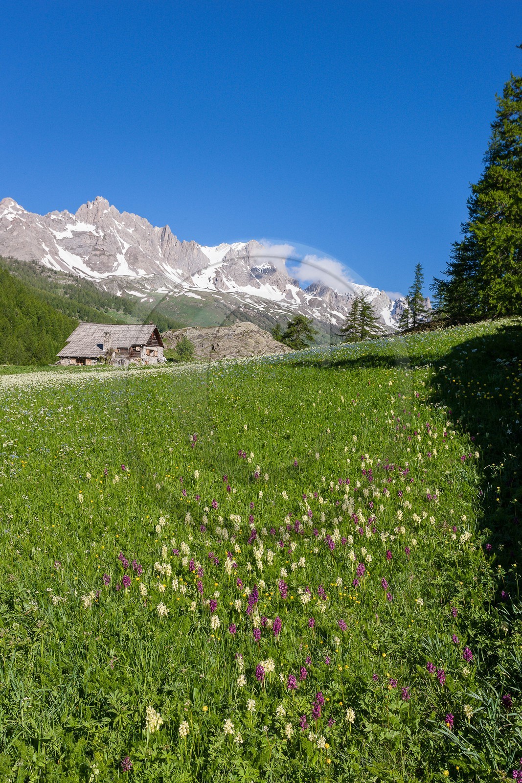 Chalets de Lacha