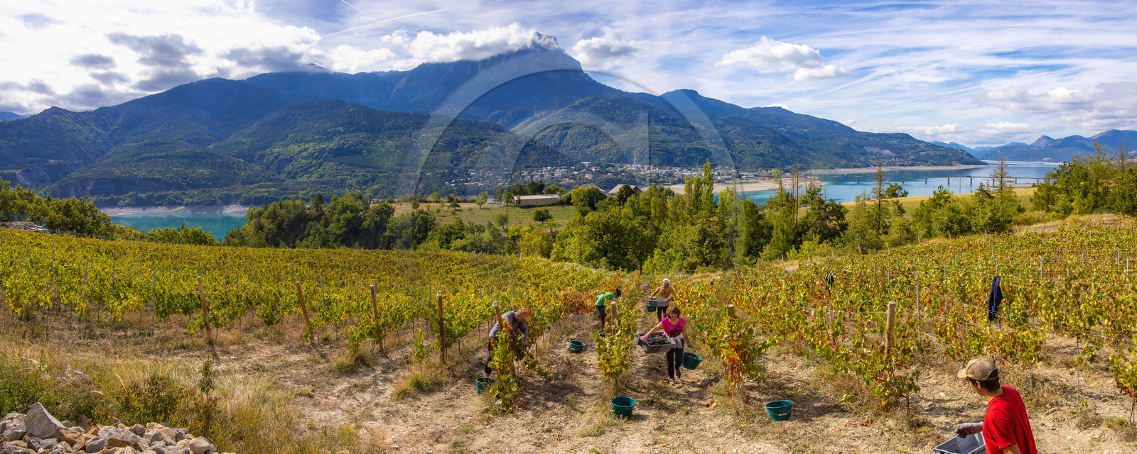 Domaine du Mont Guillaume