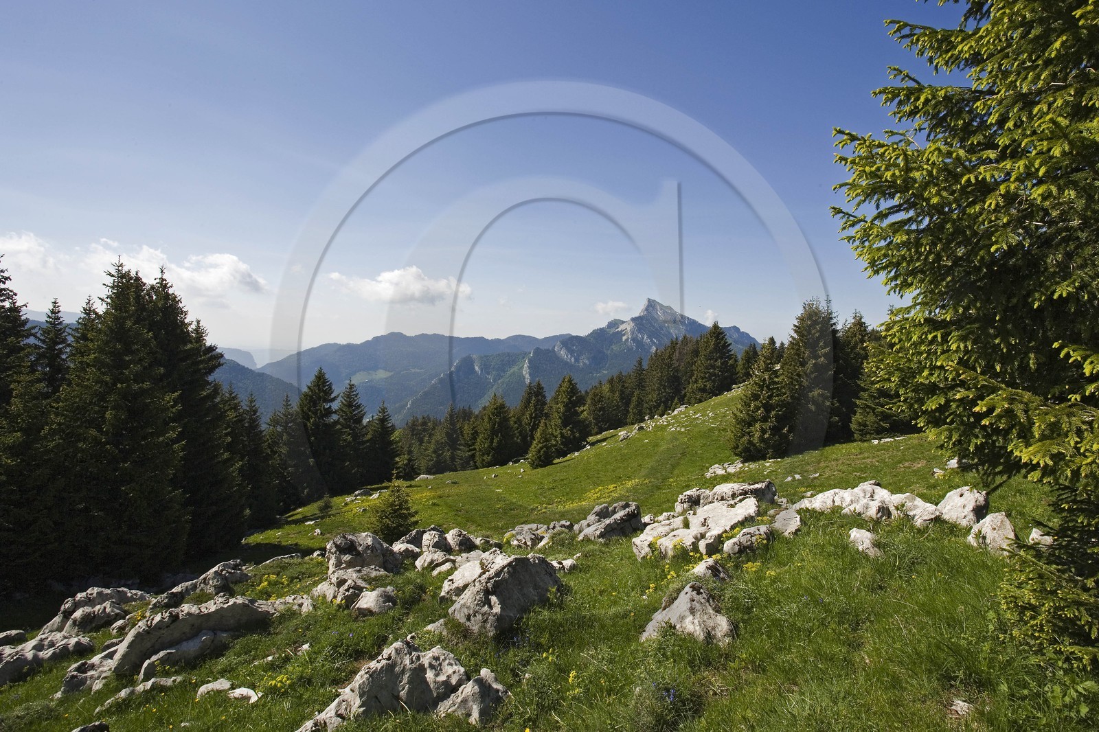 Le Grand Som depuis l'alpage de Pravouta