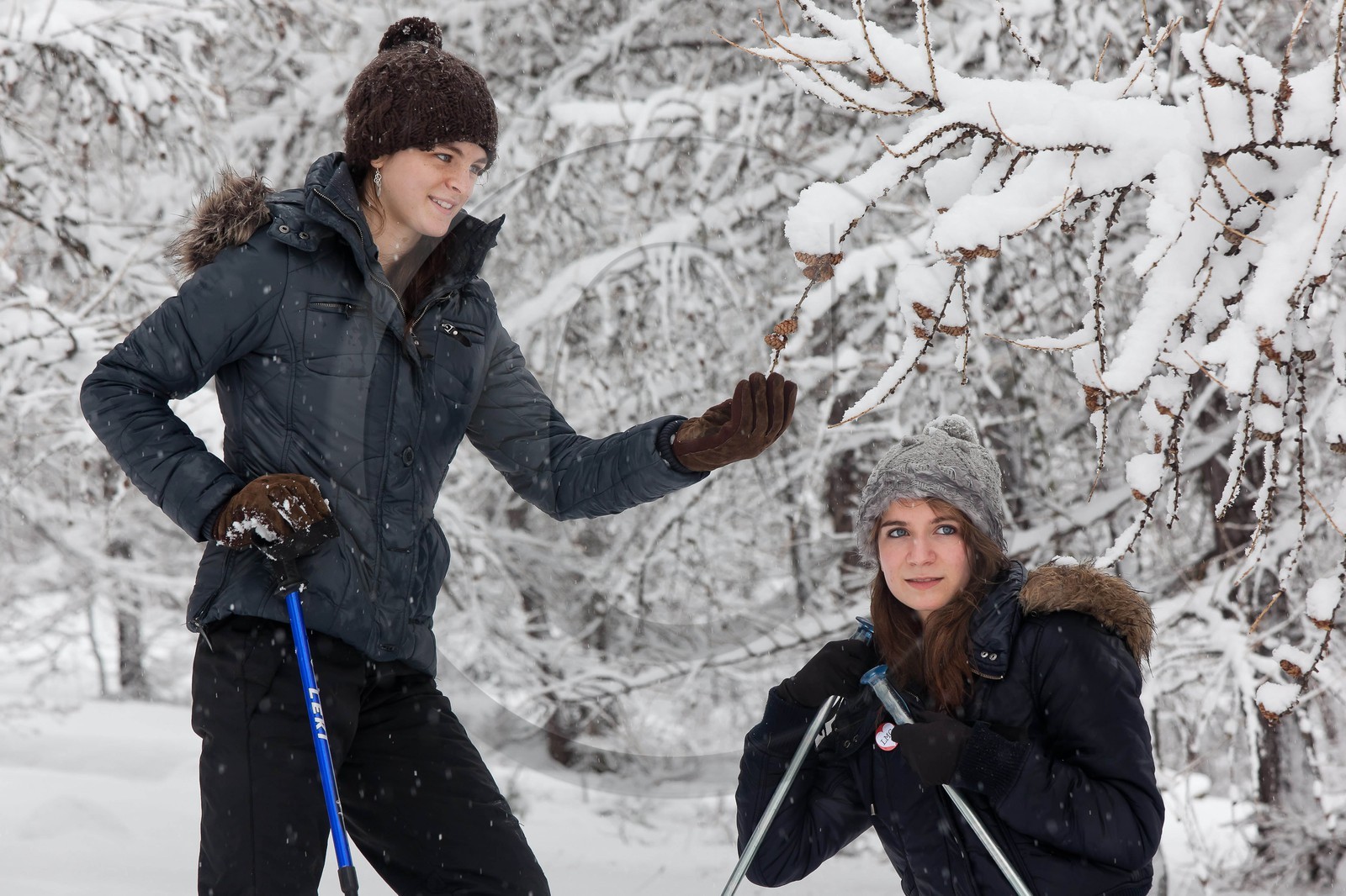 Randonnée, balade en raquettes à neige