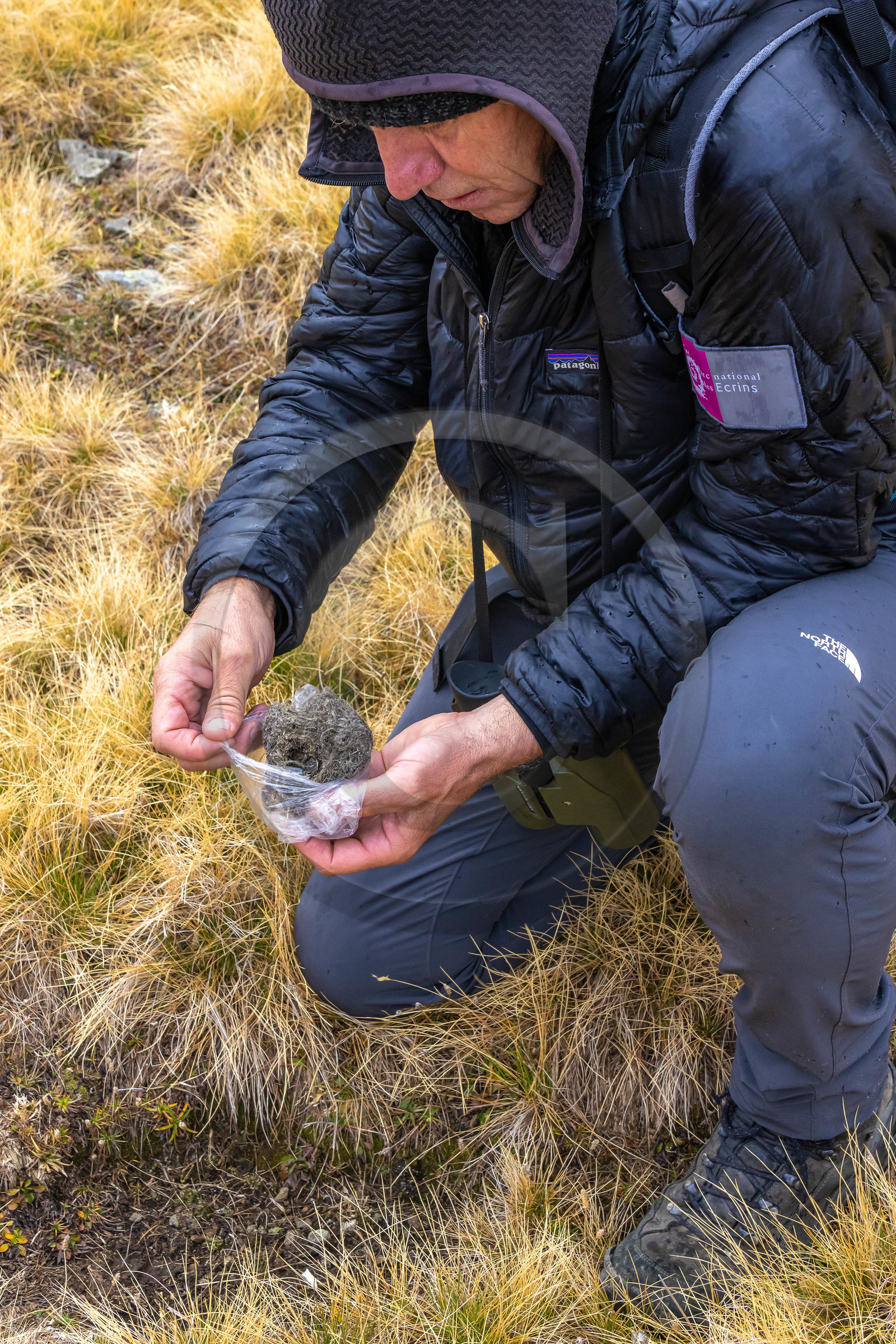 Marc Corail, garde-moniteur du Parc national des Ecrins