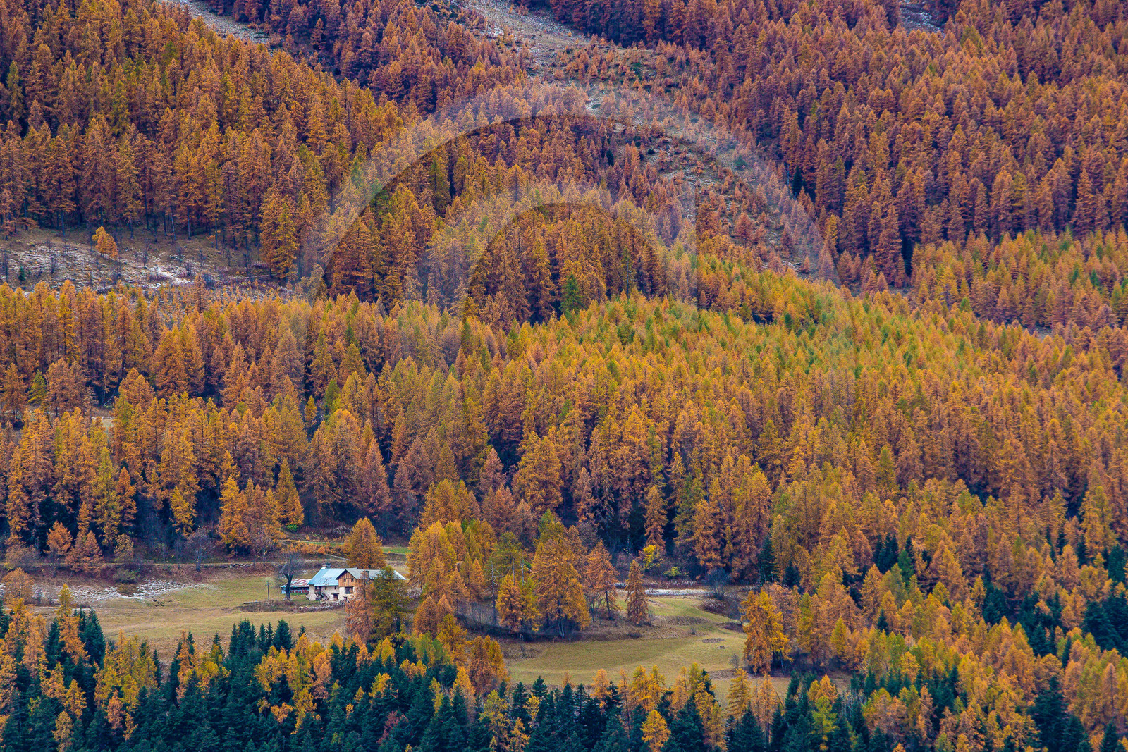 Arthouse en automne