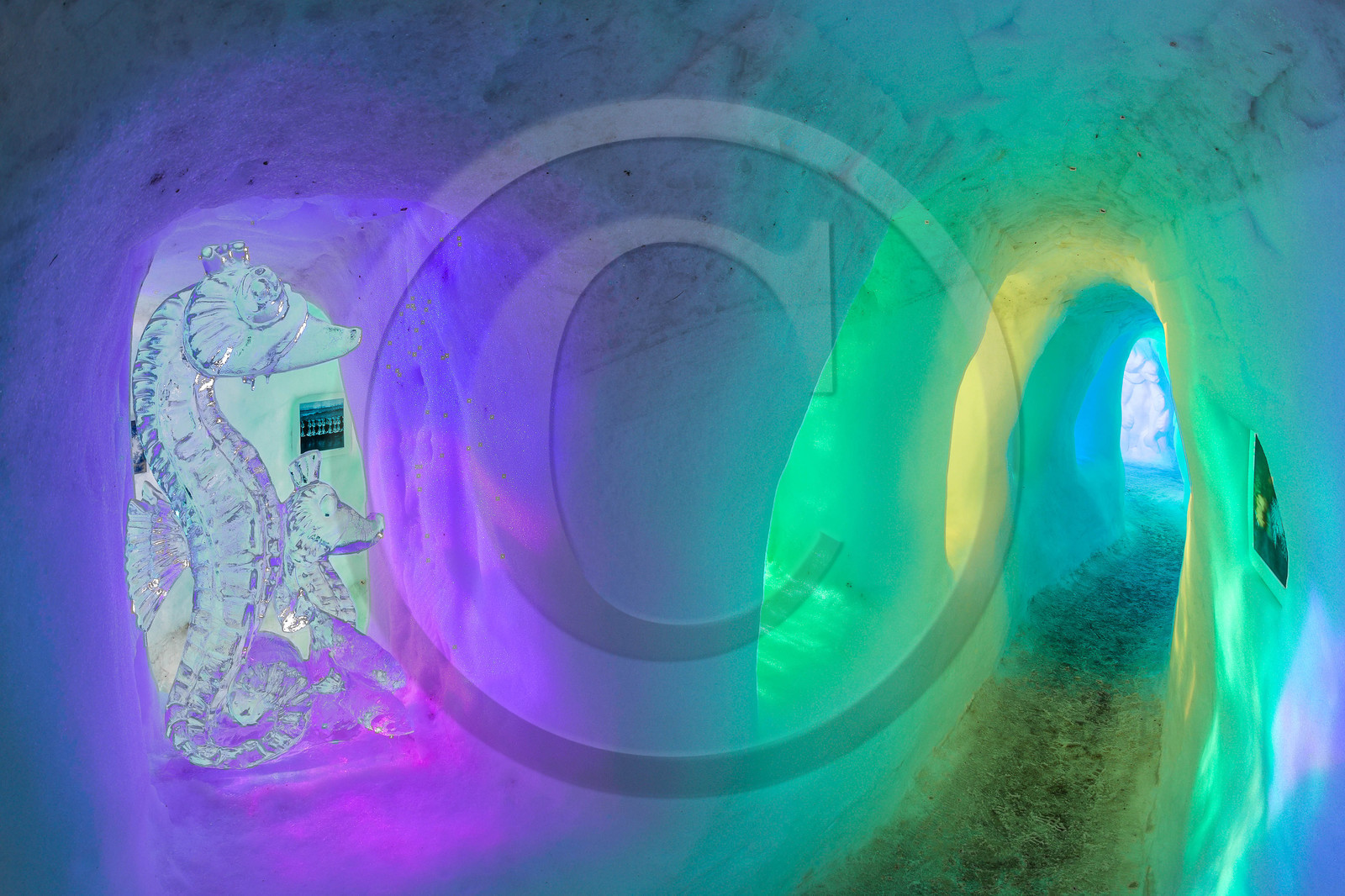Igloo Pelvoux 2015