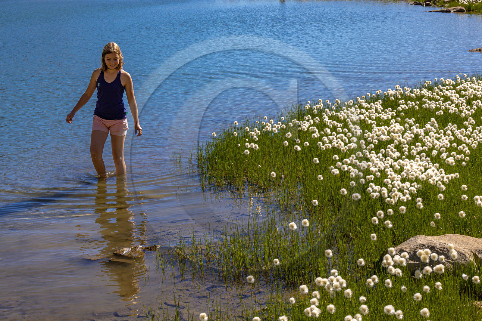 Lac Palluel