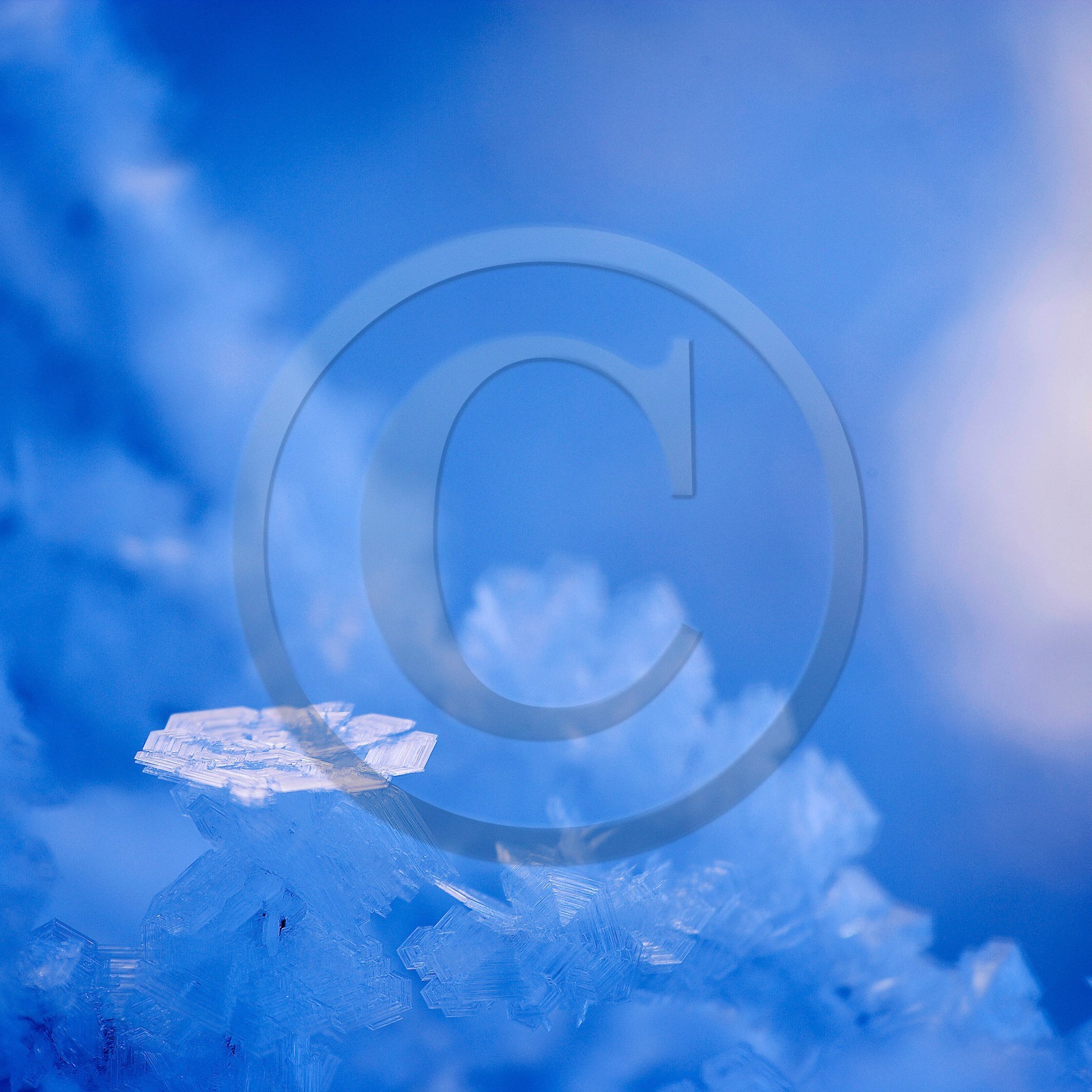 Délices de gel