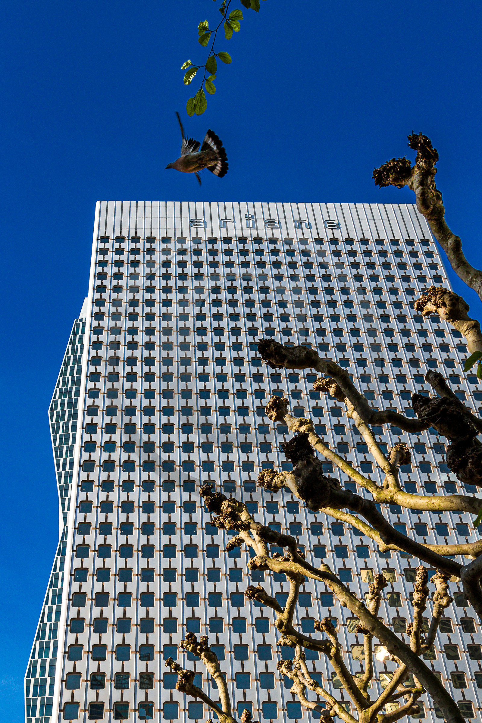 Paris La Défense