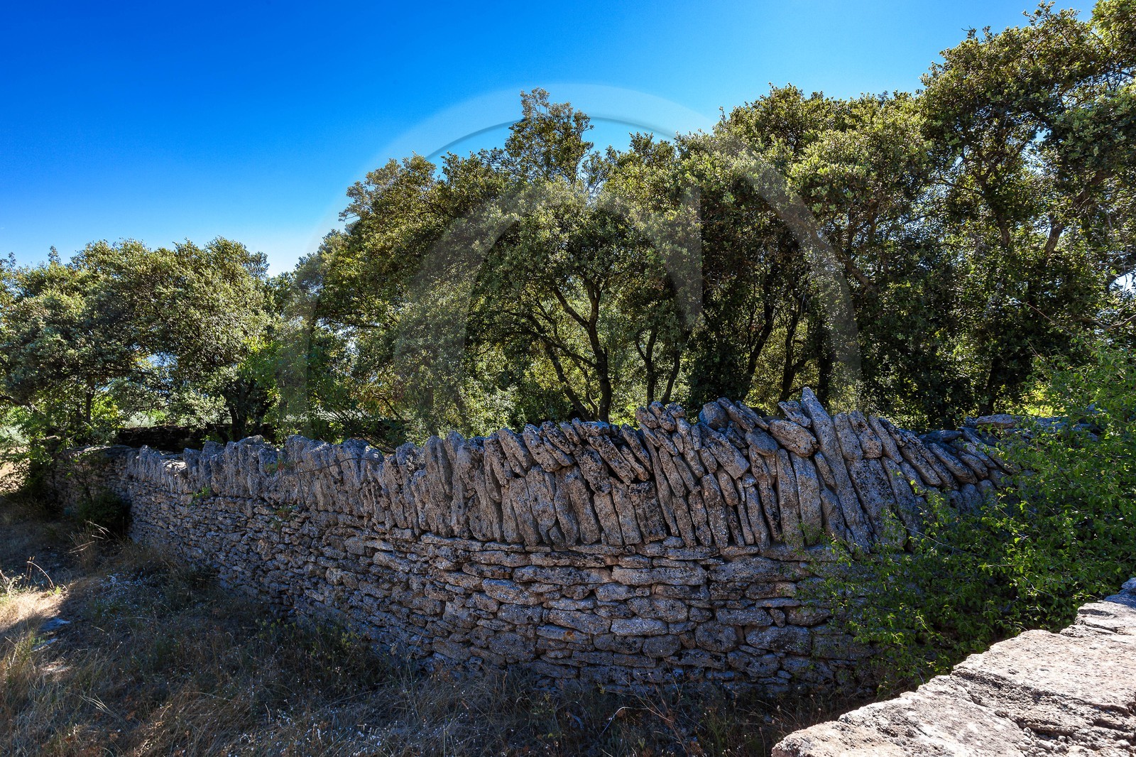 Simiane-la-Rotonde