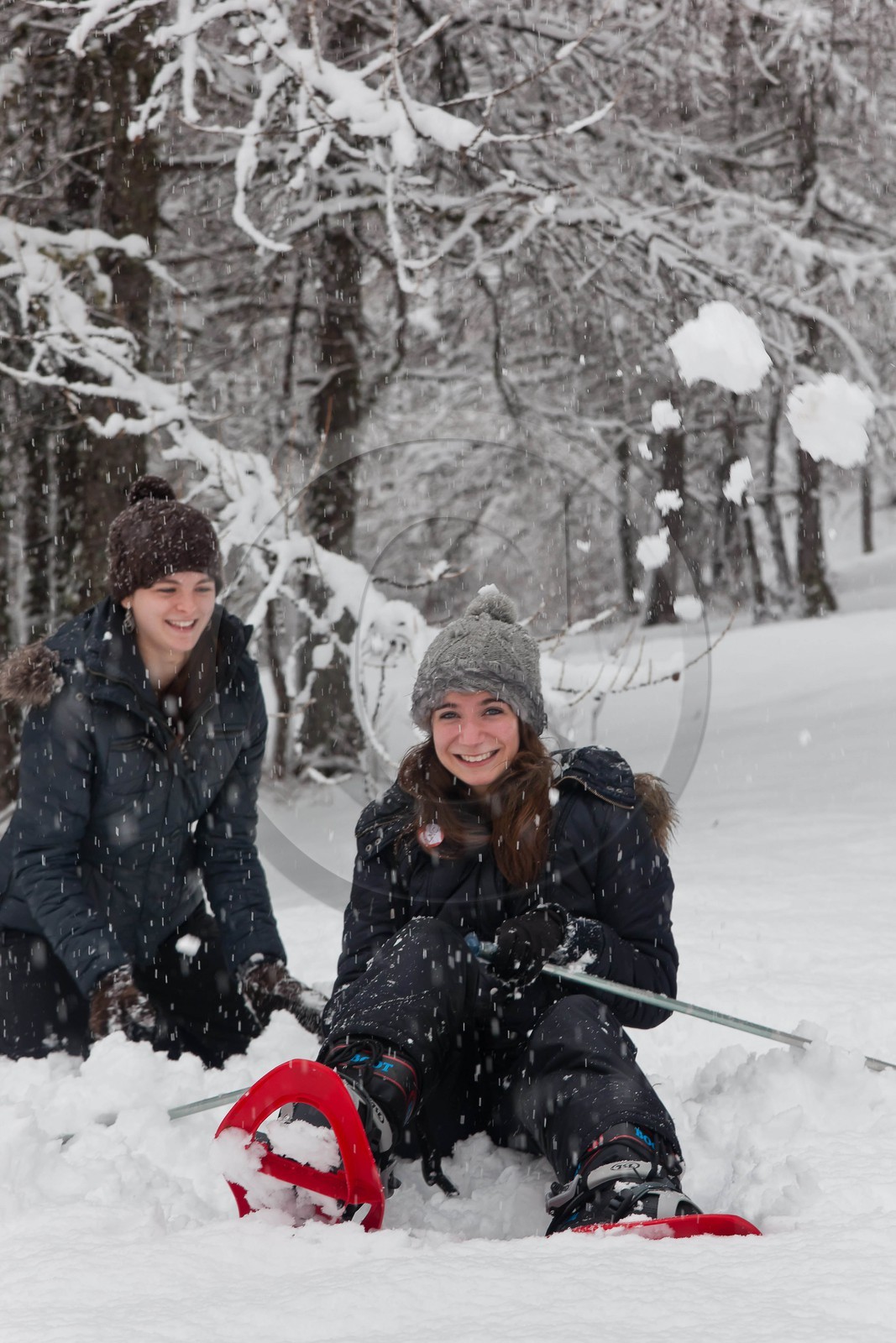 Randonnée, balade en raquettes à neige