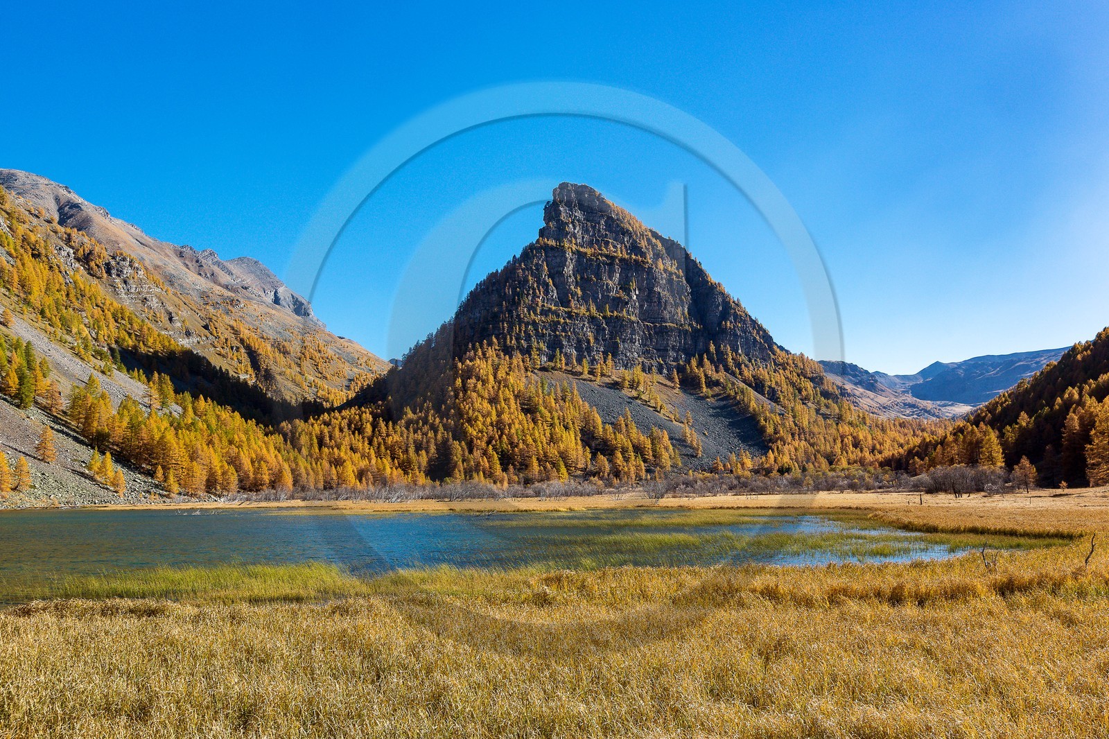 Jausiers, Lac des Sagnes et forêt de mélèzes à l'automne