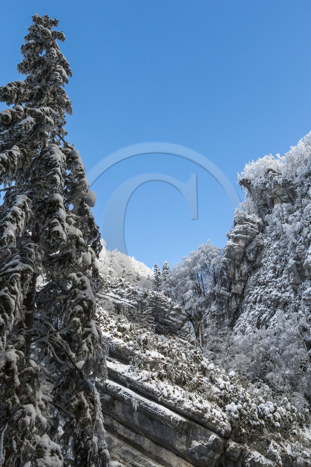 ENS de l'Isère, Les Ecouges ENS de l'Isère, Les Ecouges