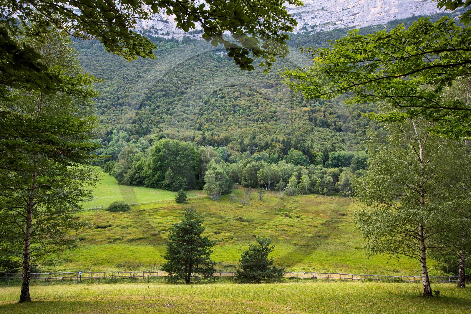 ENS de l'Isère,Tourbières du Peuil