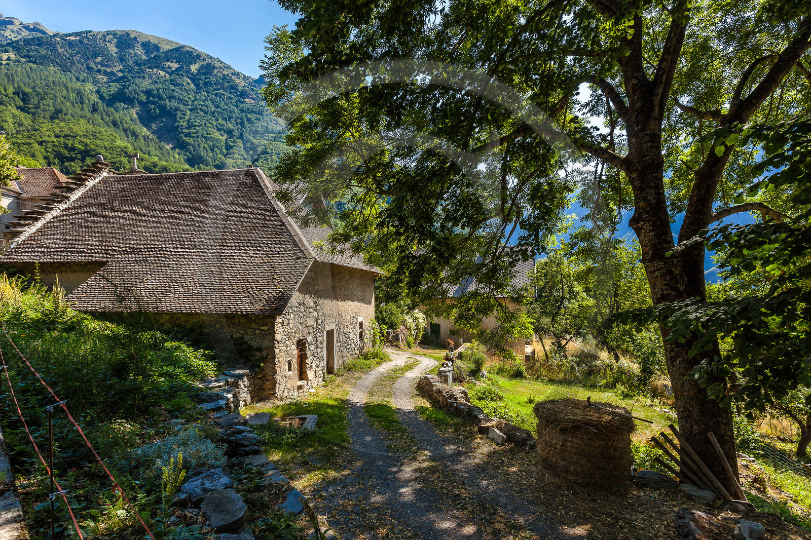 Saint-Firmin