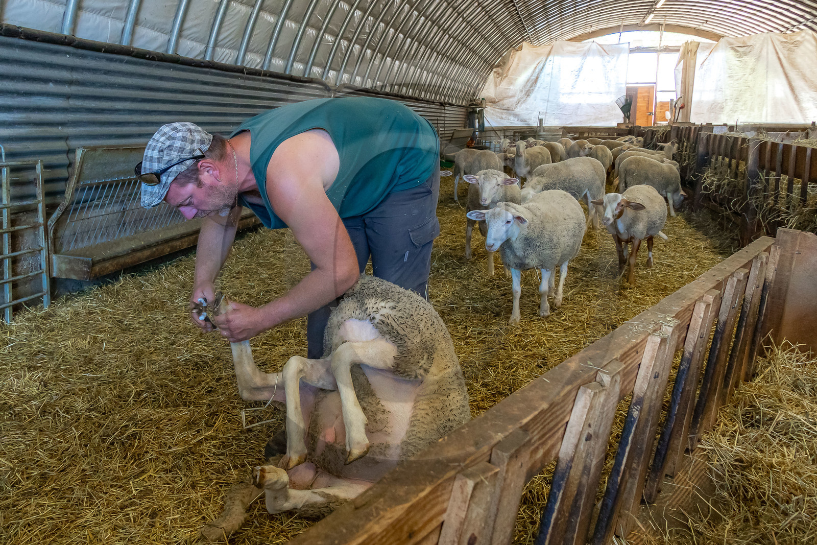 Ferme des Bichoux