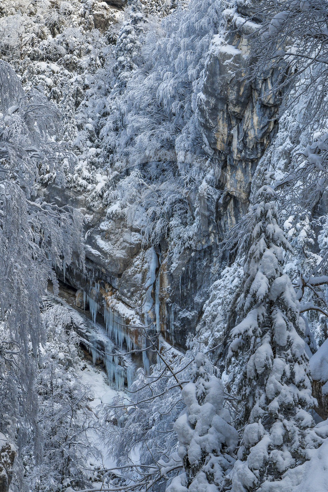 ENS de l'Isère, Les Ecouges ENS de l'Isère, Les Ecouges